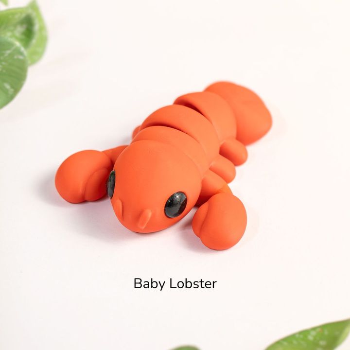 720x720 baby lobster4