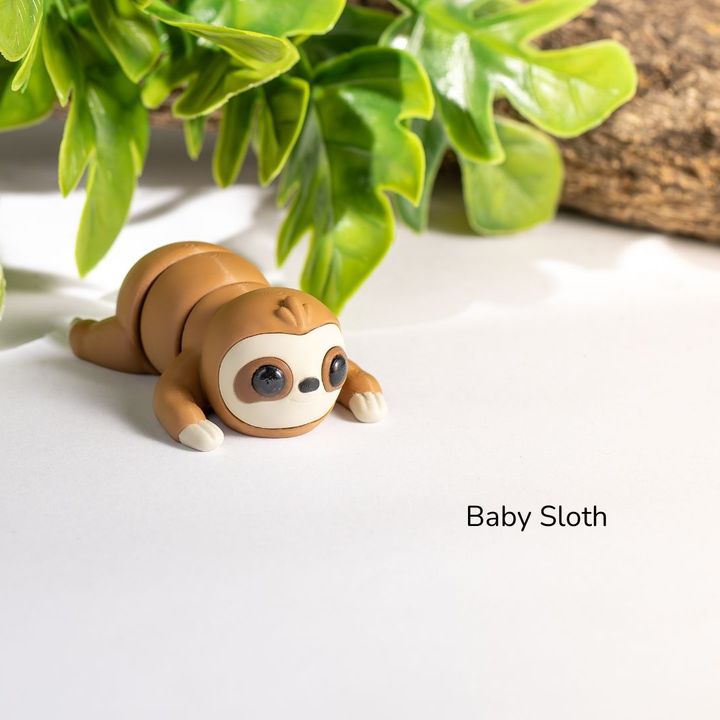 720x720 baby sloth2