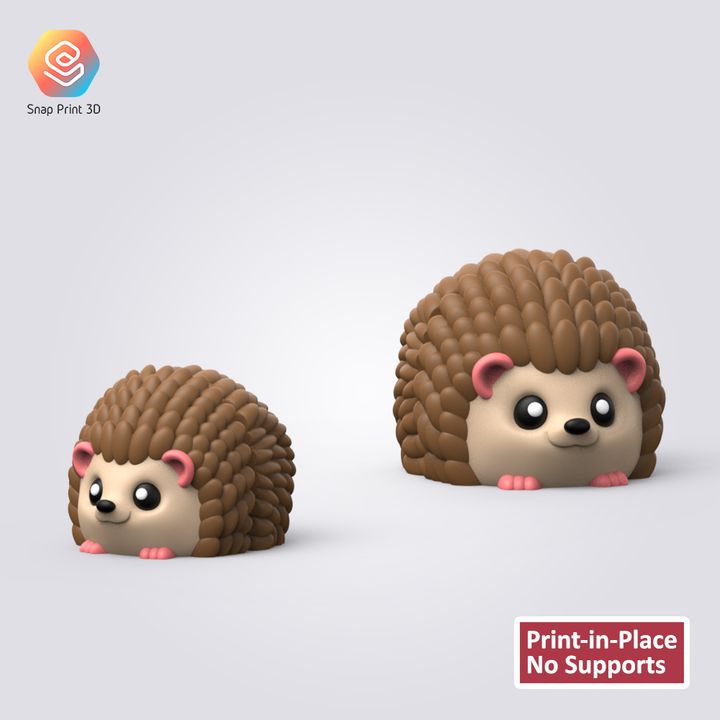720x720 hedgehog