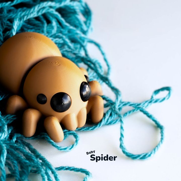 720x720 baby spider1